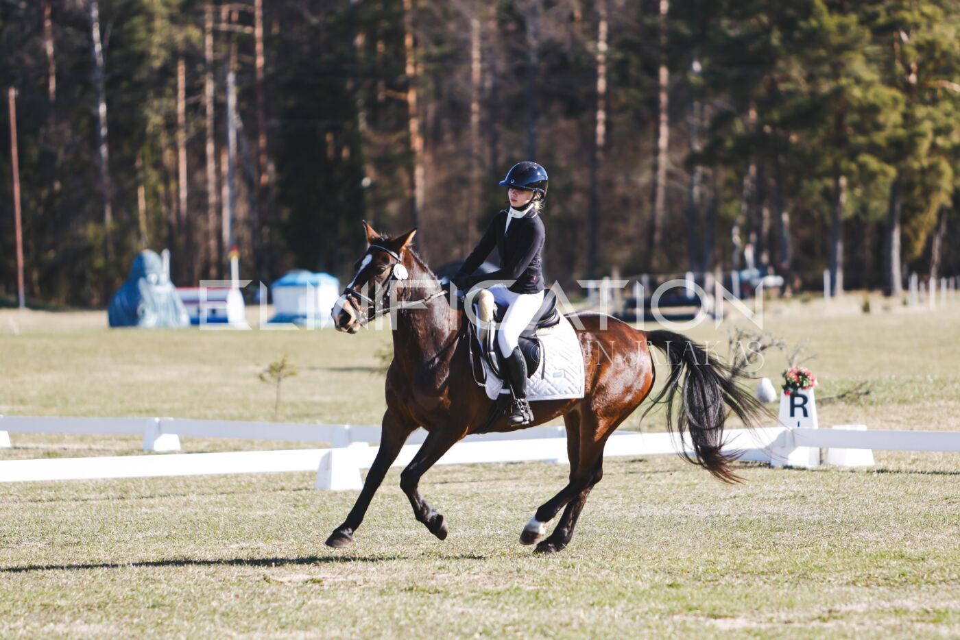 Kose_Kevad_2026_CCN70_KS-029
