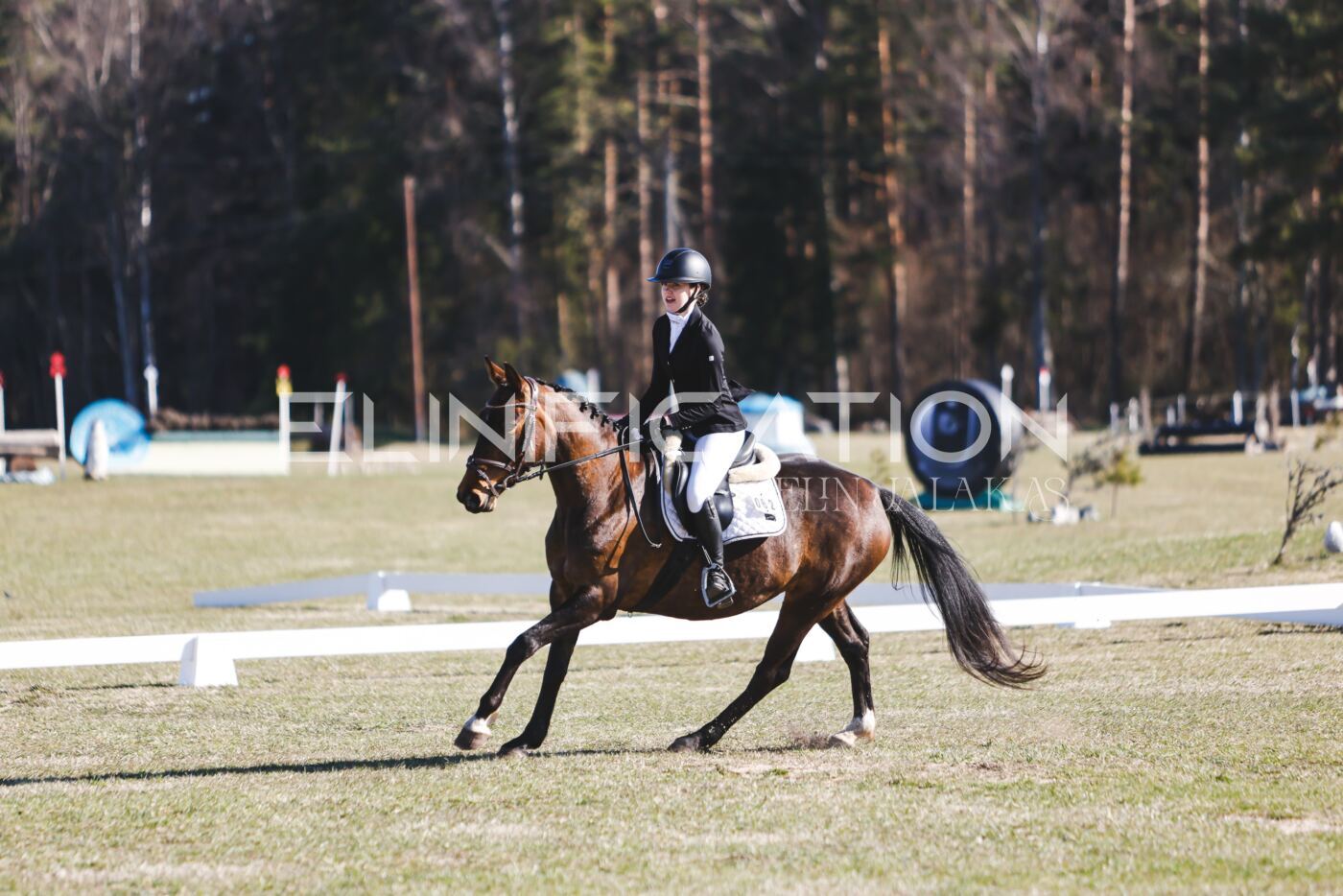 Kose_Kevad_2026_CCN70_KS-069