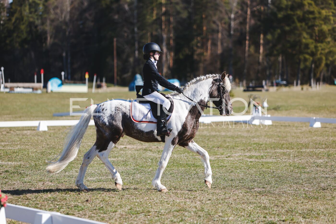 Kose_Kevad_2026_CCN70_KS-479