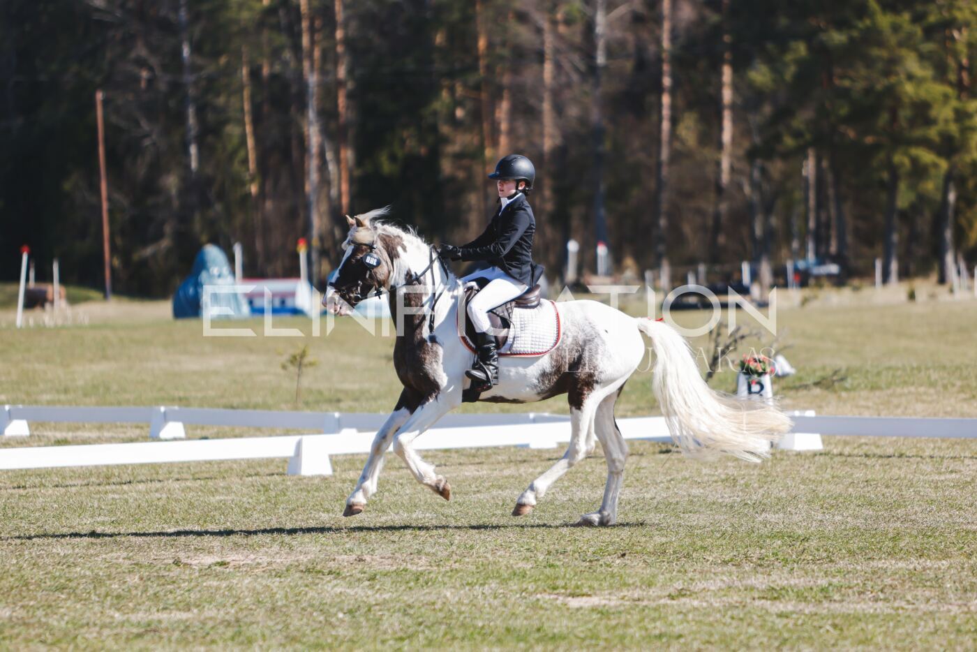 Kose_Kevad_2026_CCN70_KS-499