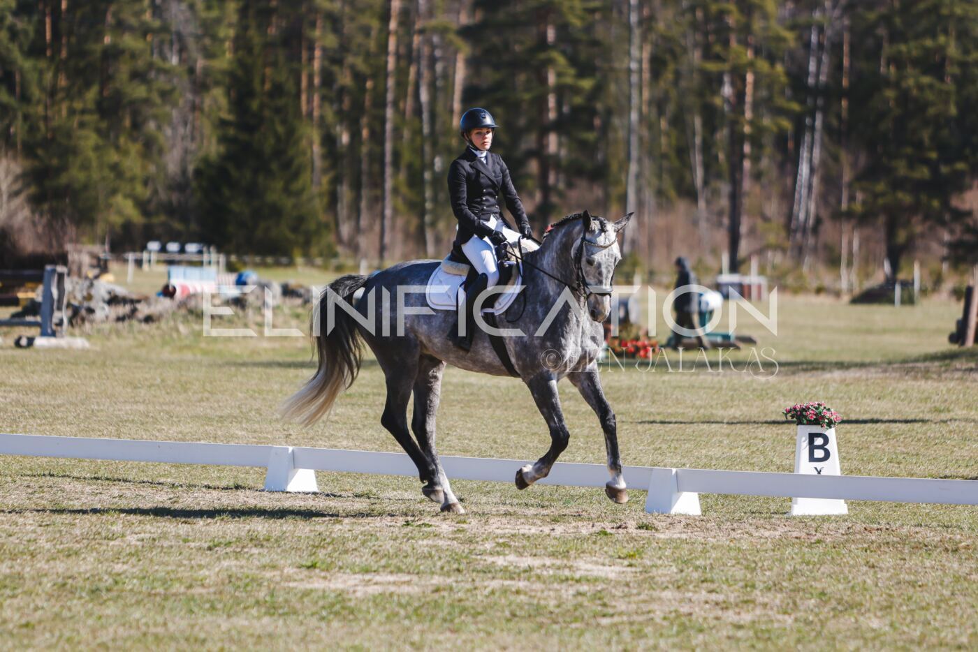 Kose_Kevad_2026_CCN70_KS-536