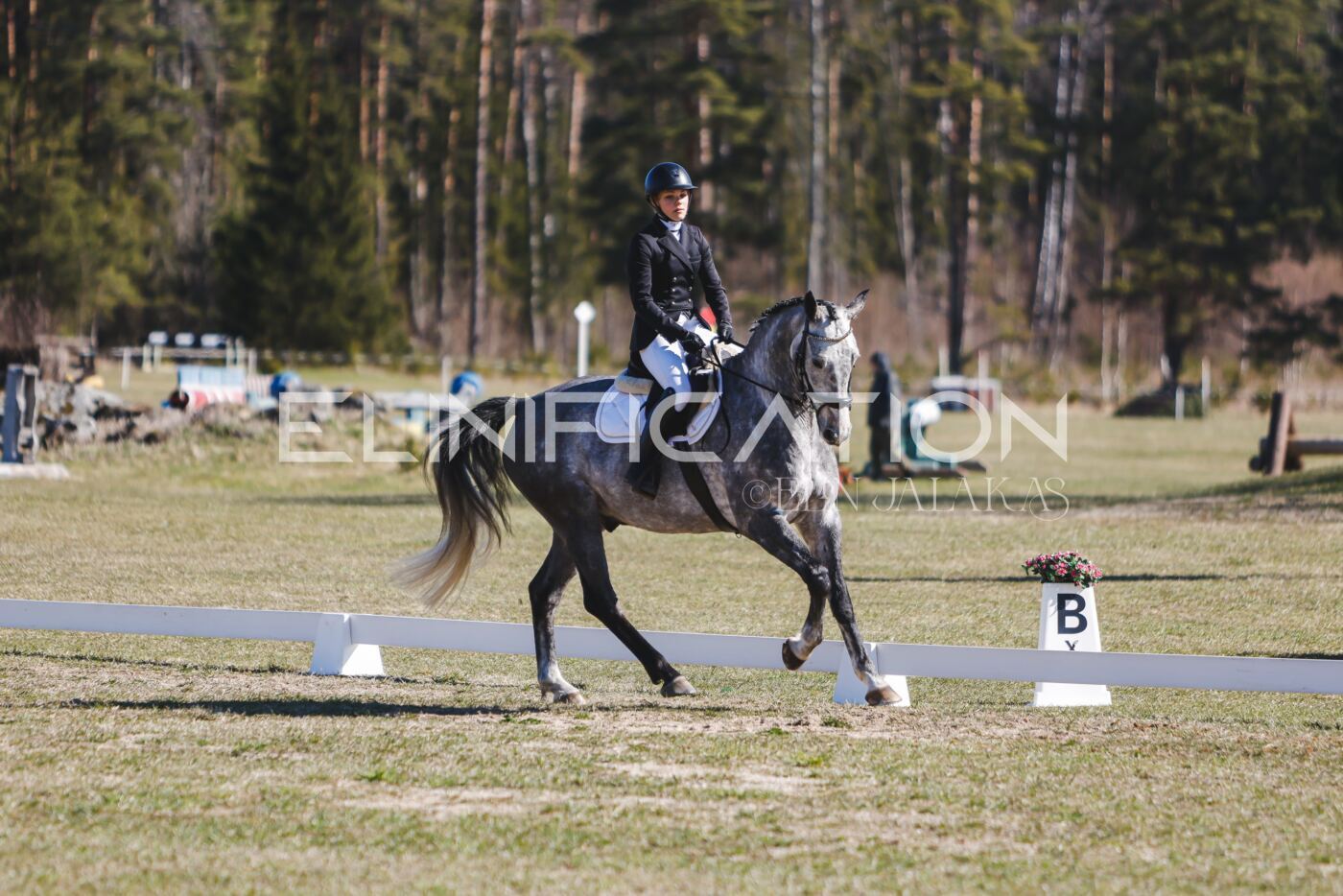 Kose_Kevad_2026_CCN70_KS-538