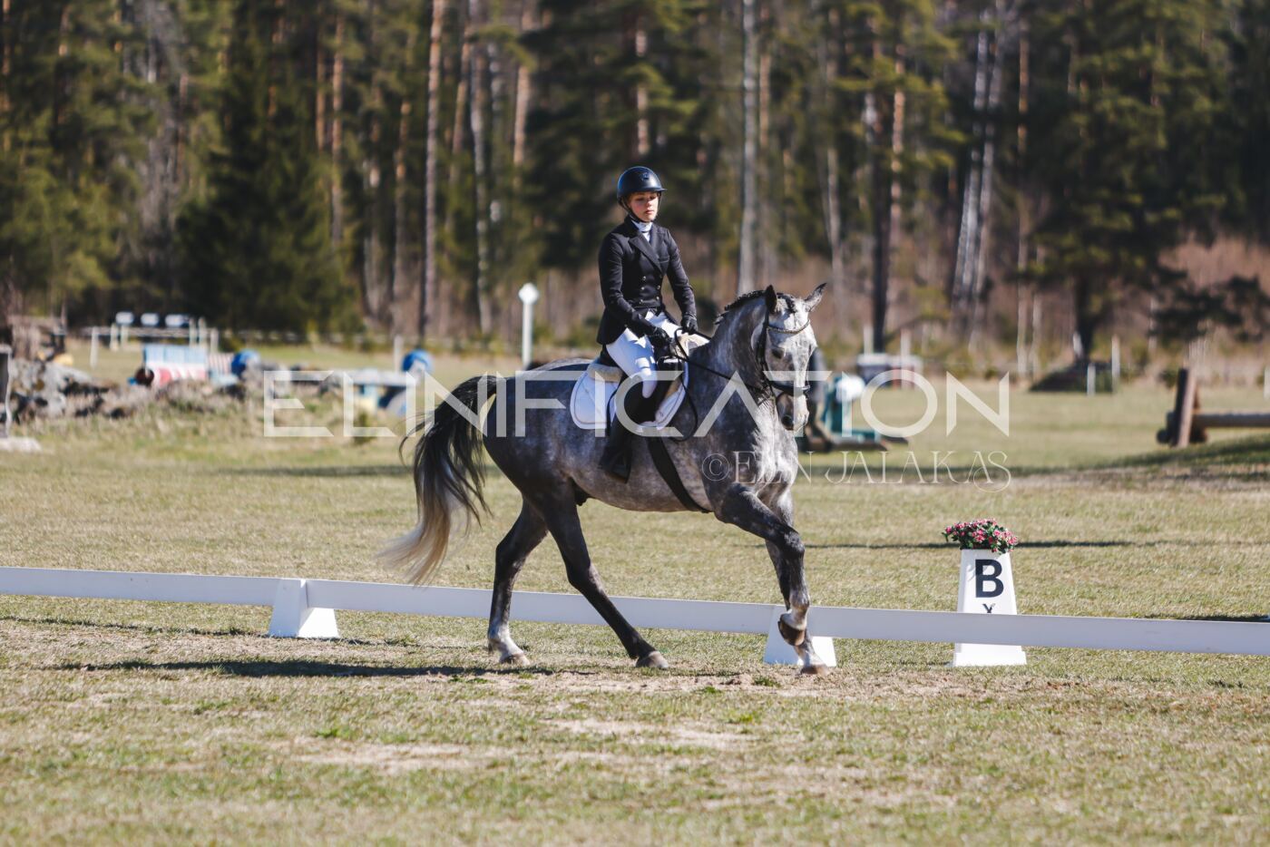 Kose_Kevad_2026_CCN70_KS-539