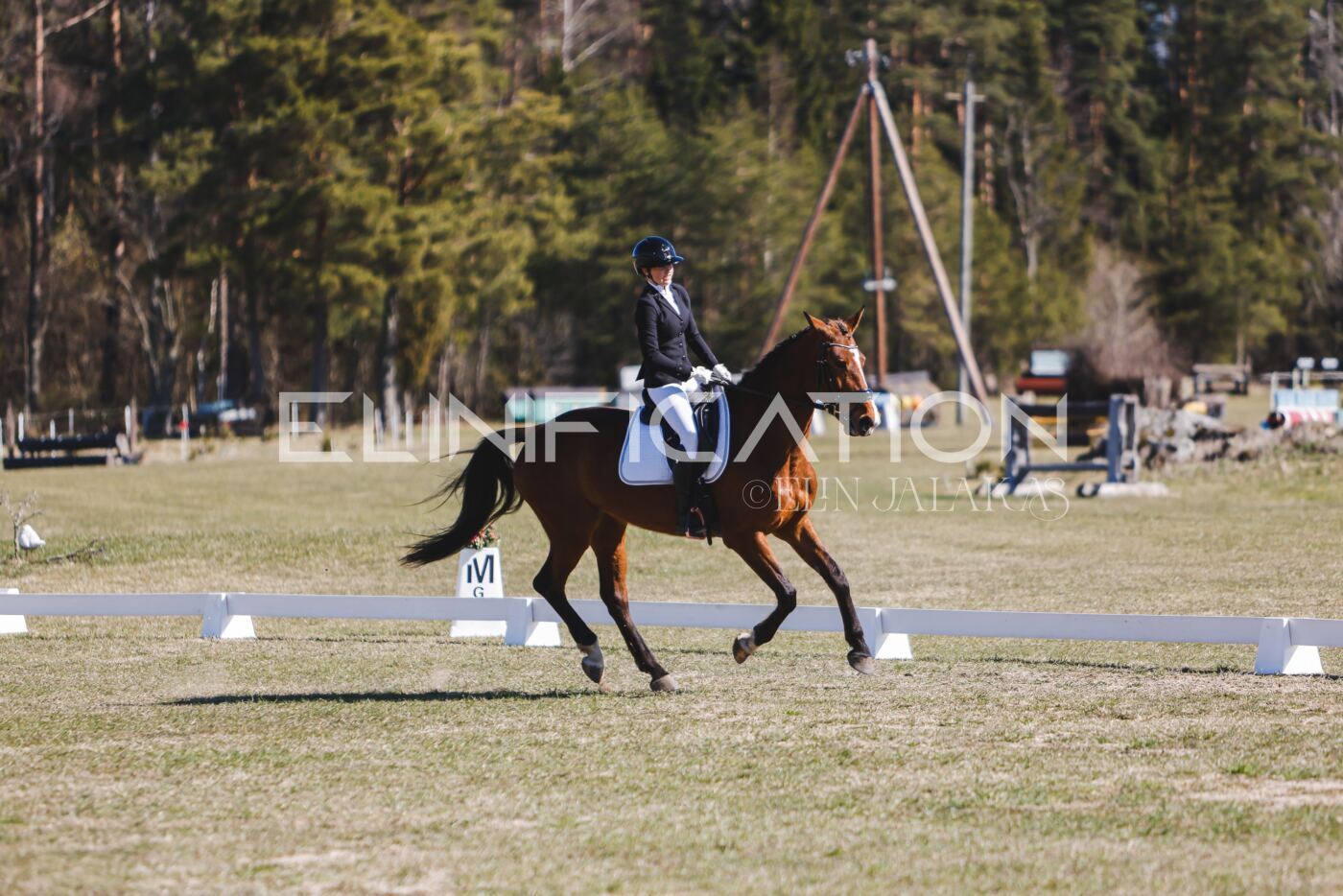 Kose_Kevad_2026_CCN70_KS-616