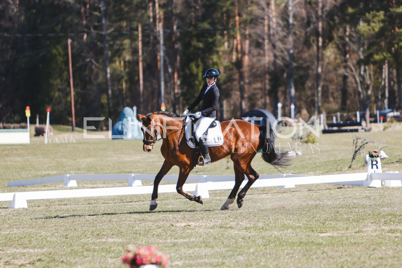 Kose_Kevad_2026_CCN70_KS-634