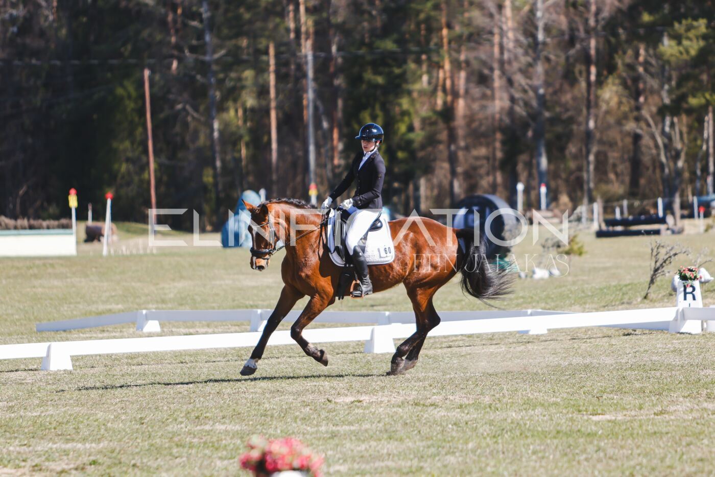 Kose_Kevad_2026_CCN70_KS-635