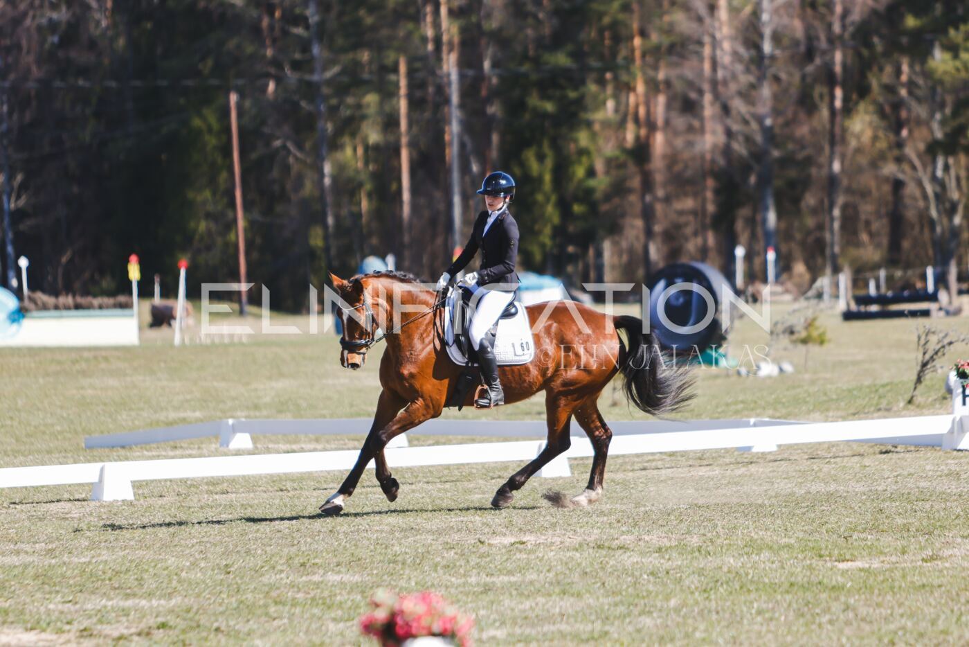 Kose_Kevad_2026_CCN70_KS-636