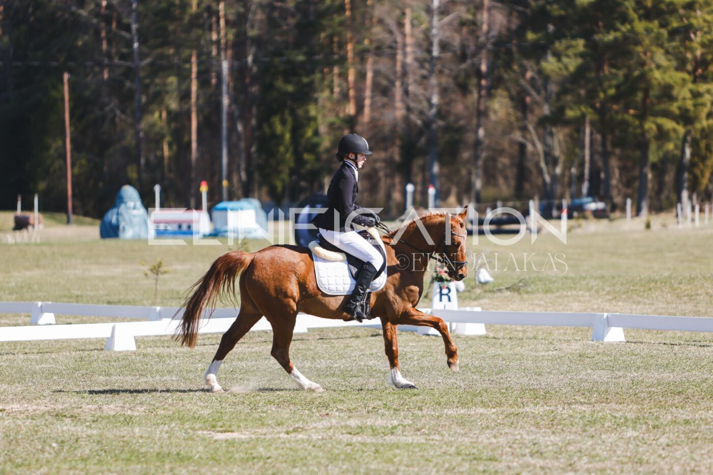 Kose_Kevad_2026_CCN70_KS-647
