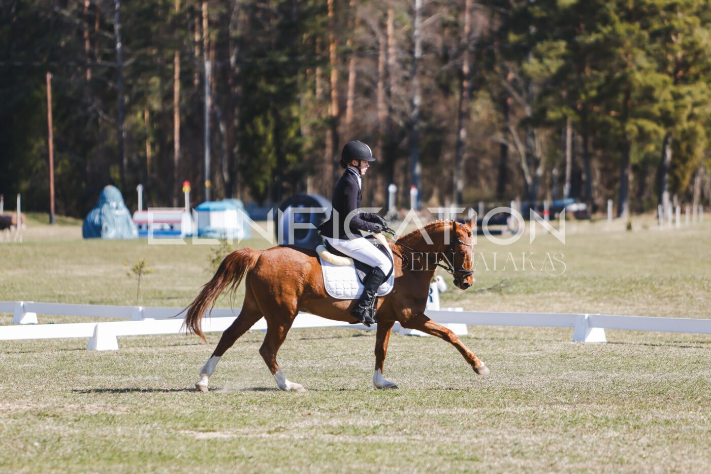 Kose_Kevad_2026_CCN70_KS-648