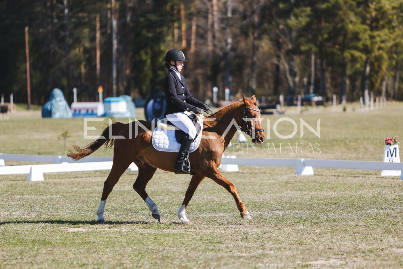 Kose_Kevad_2026_CCN70_KS-707