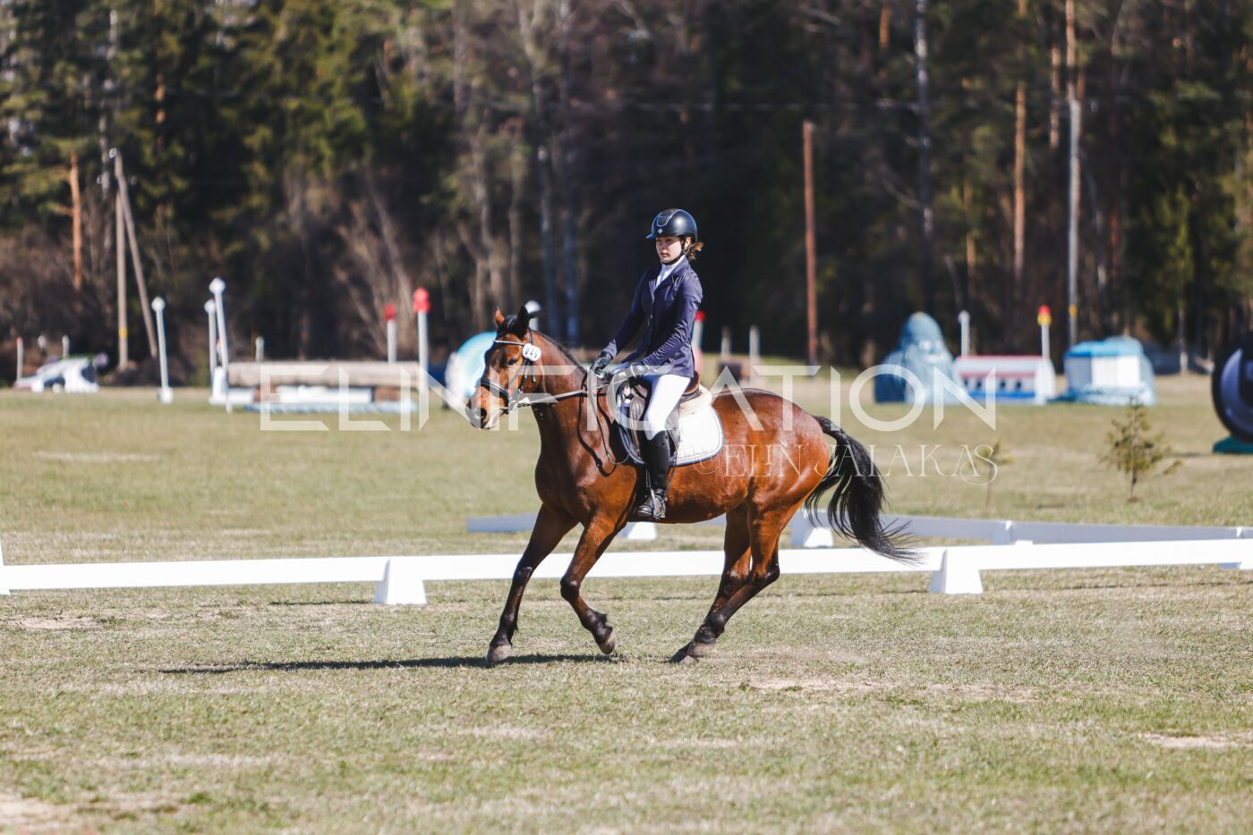 Kose_Kevad_2026_CCN70_KS-811