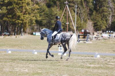 Kose_Kevad_2026_CCN90_KS-005