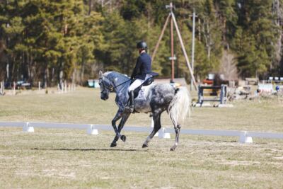Kose_Kevad_2026_CCN90_KS-006