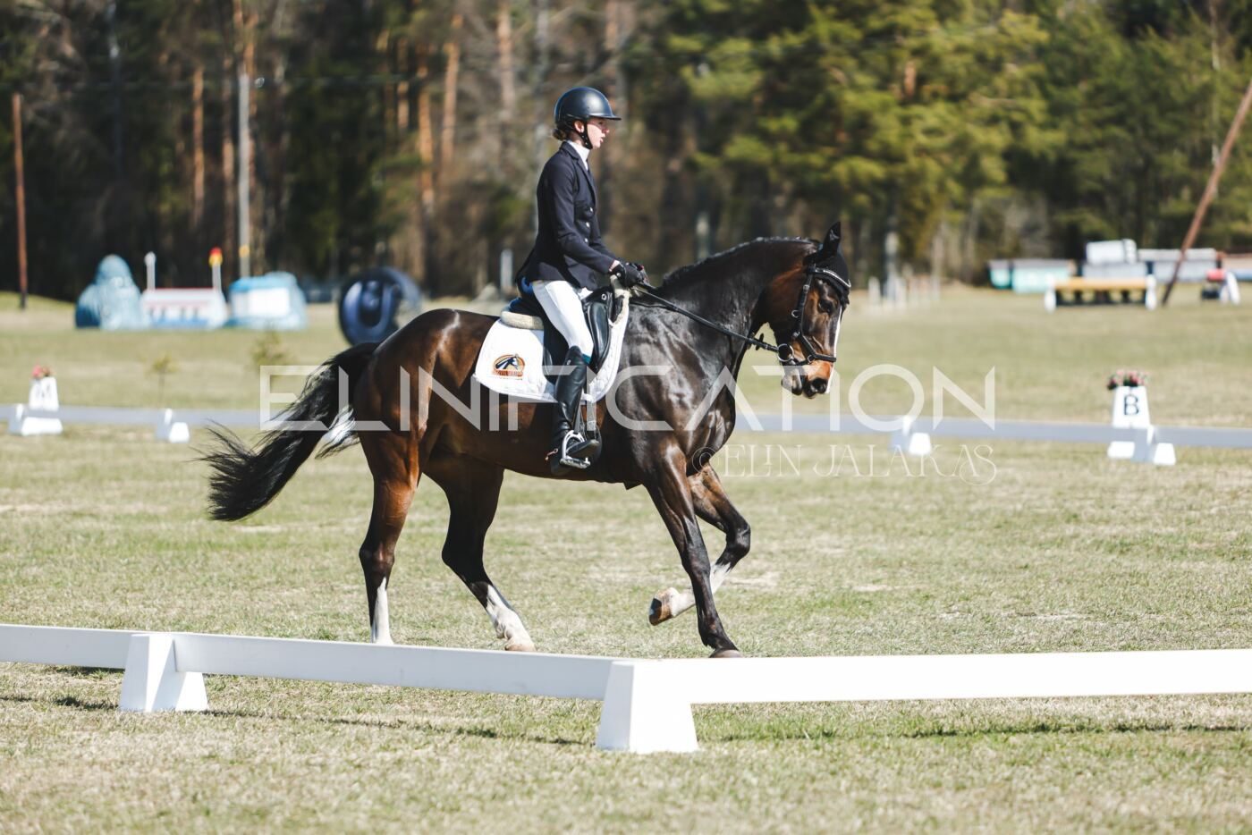 Kose_Kevad_2026_CCN90_KS-024