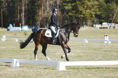 Kose_Kevad_2026_CCN90_KS-024