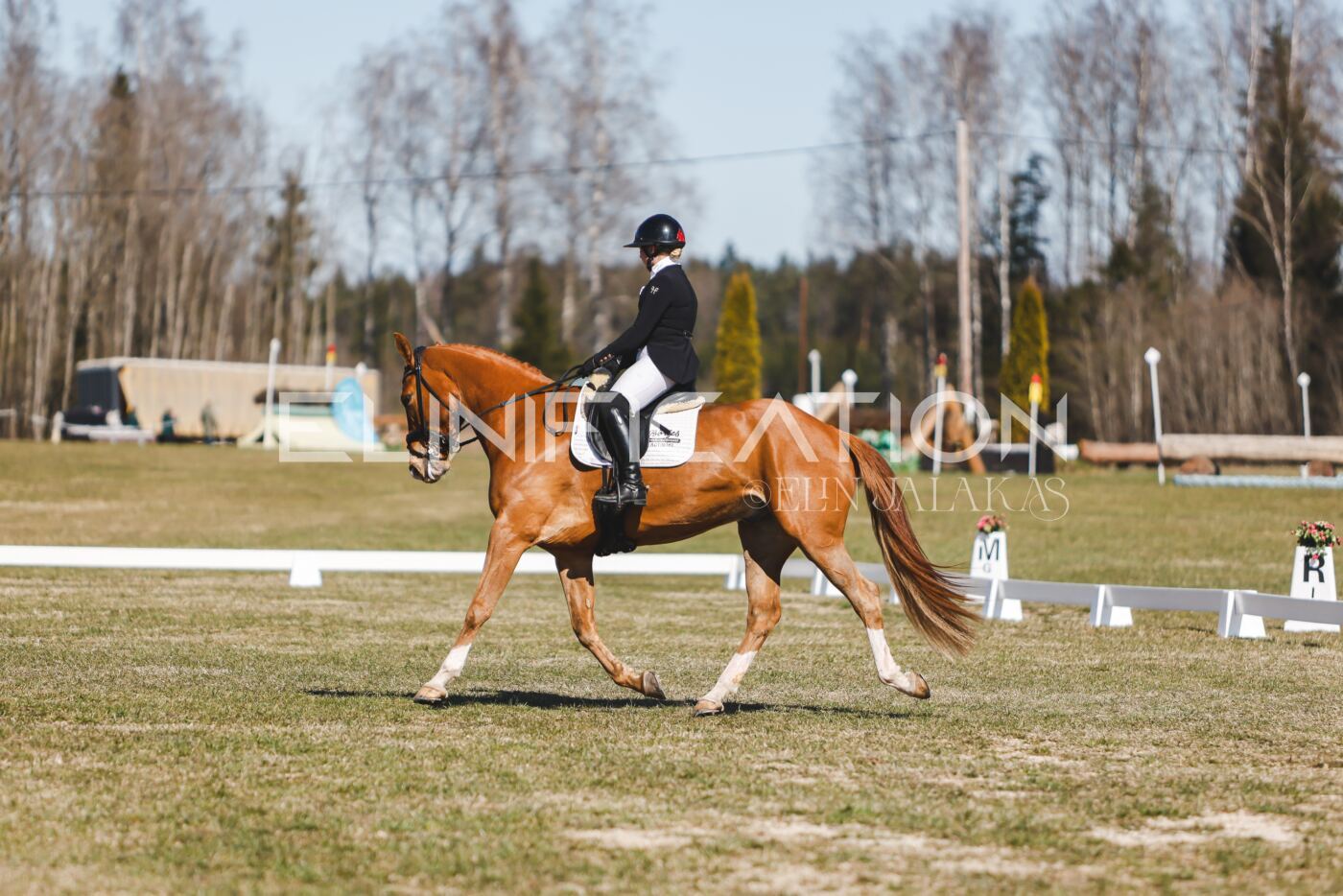 Kose_Kevad_2026_CCN90_KS-131