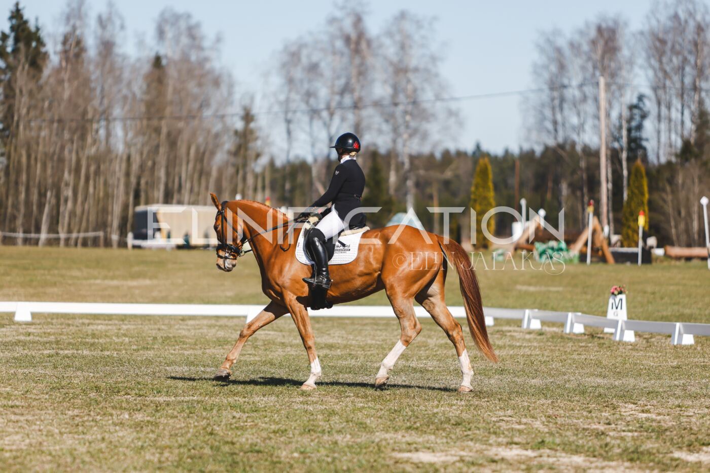 Kose_Kevad_2026_CCN90_KS-132