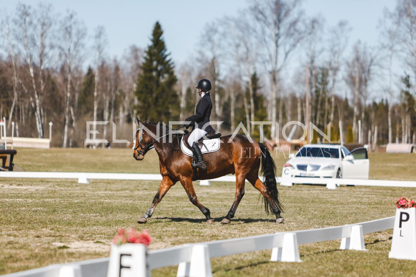 Kose_Kevad_2026_CCN90_KS-215