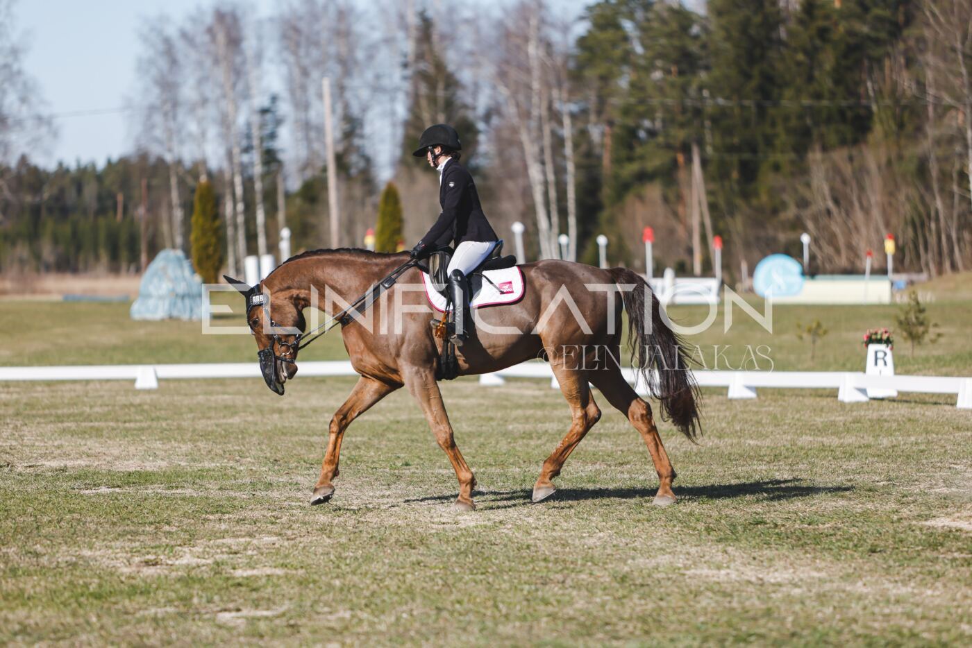 Kose_Kevad_2026_CCN1_KS-081