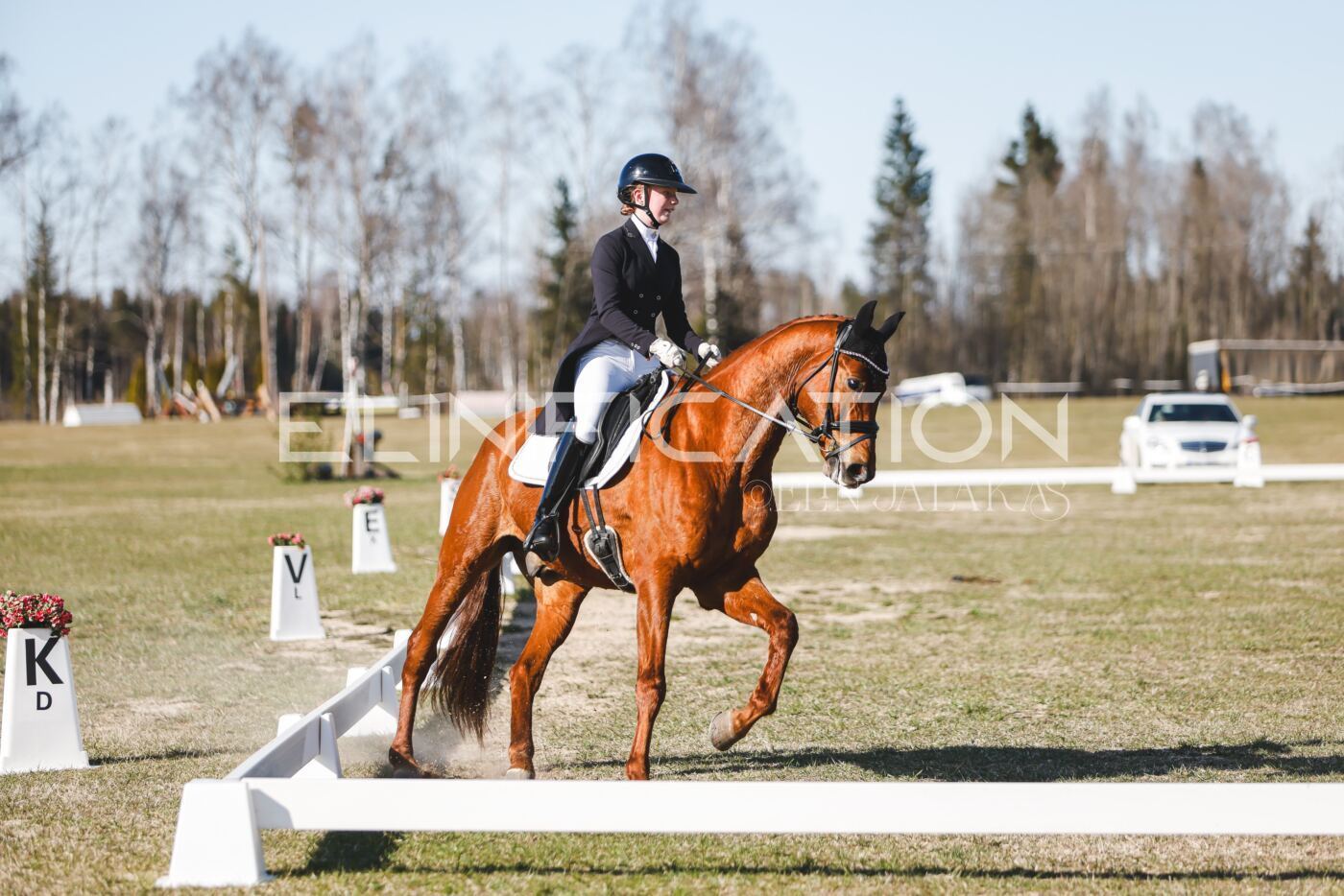 Kose_Kevad_2026_CCN1_KS-099
