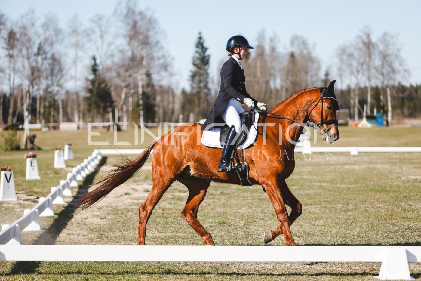Kose_Kevad_2026_CCN1_KS-101