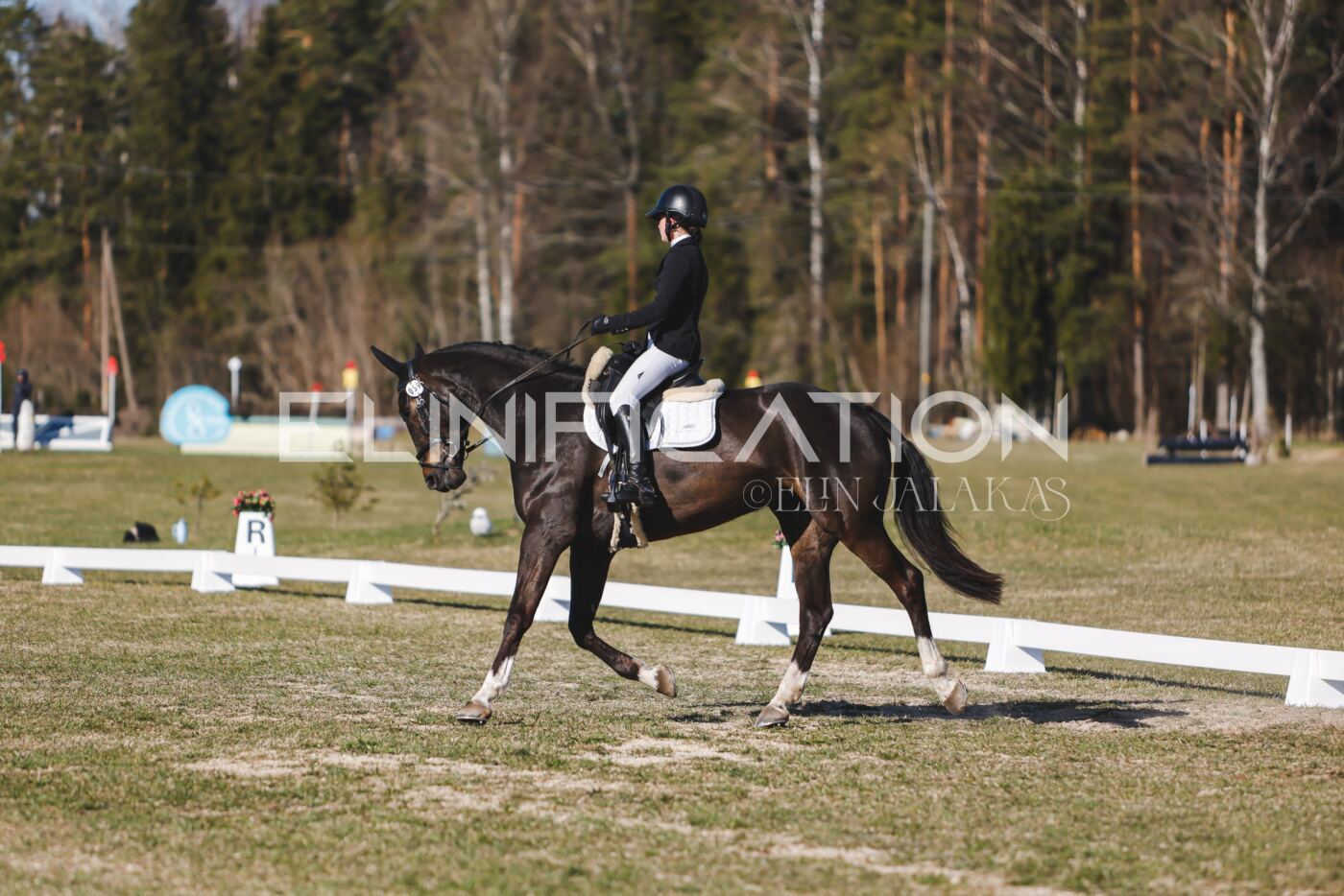 Kose_Kevad_2026_CCN1_KS-149