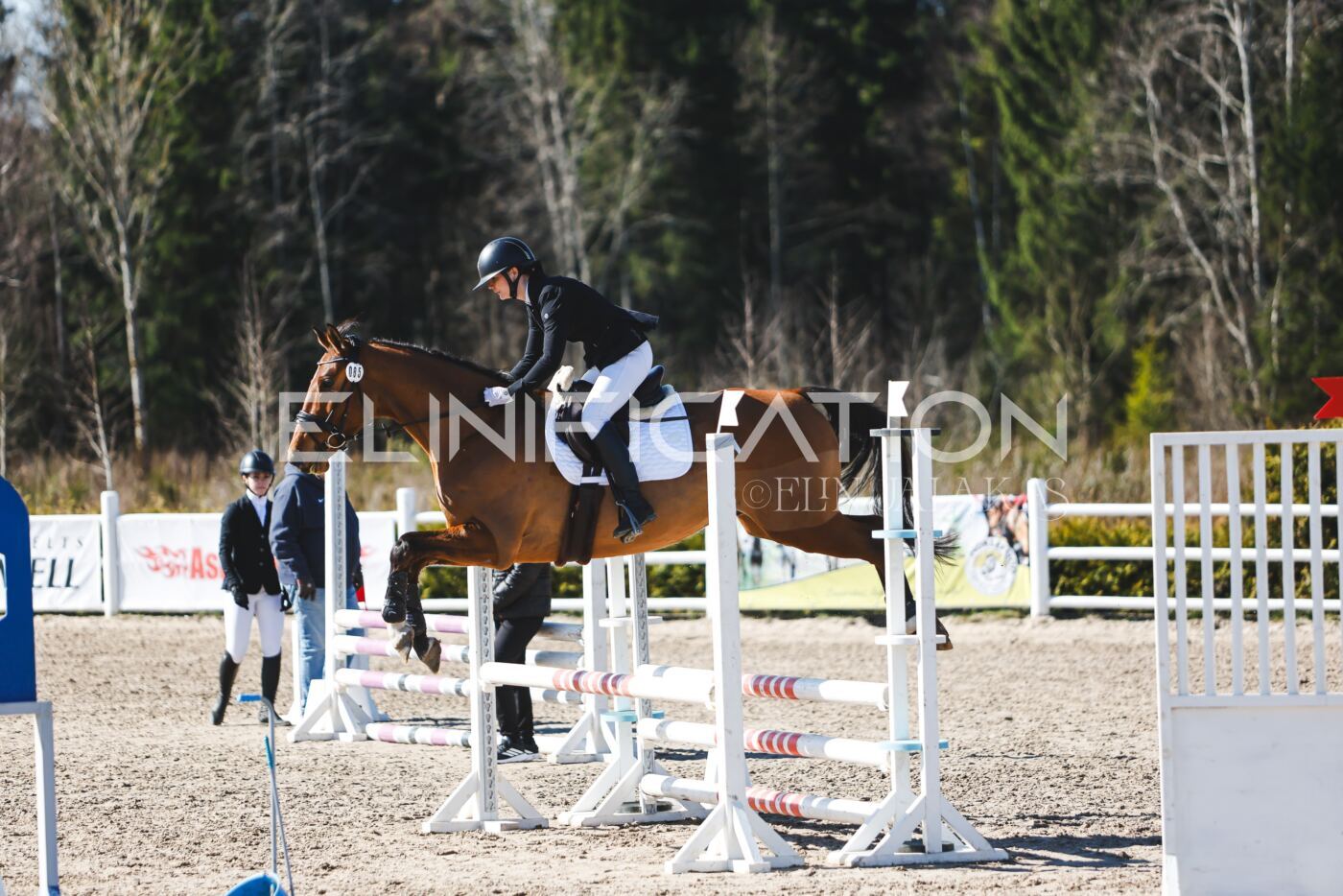 Kose_Kevad_2026_CCN70_TS-086