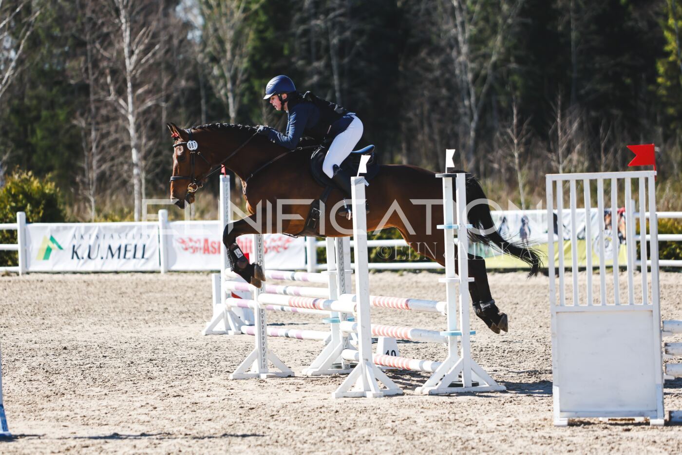 Kose_Kevad_2026_CCN70_TS-197