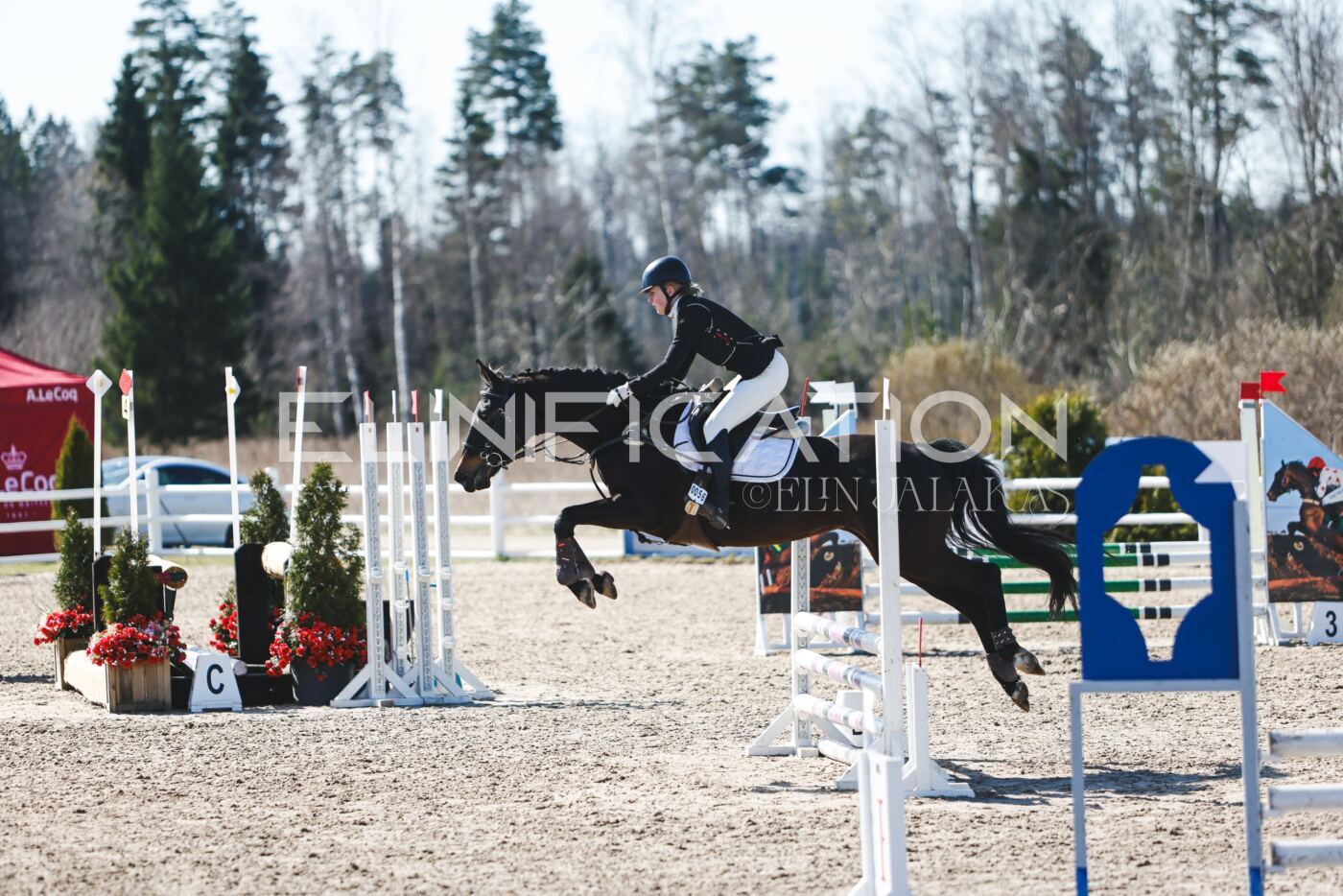 Kose_Kevad_2026_CCN70_TS-269