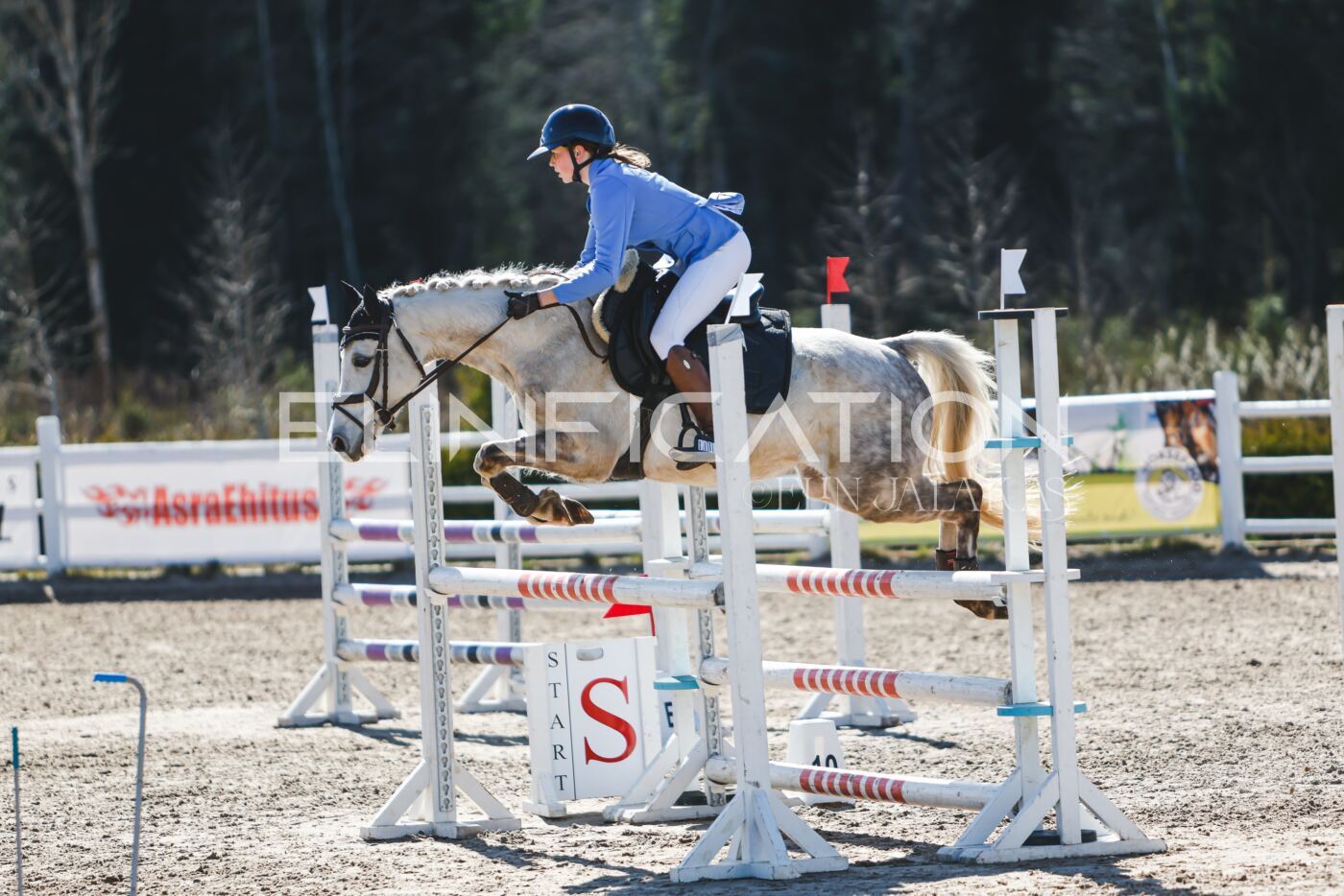 Kose_Kevad_2026_CCN90_TS-038
