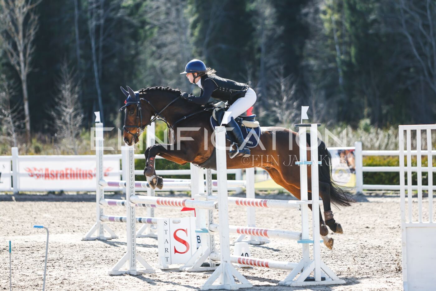 Kose_Kevad_2026_CCN90_TS-060