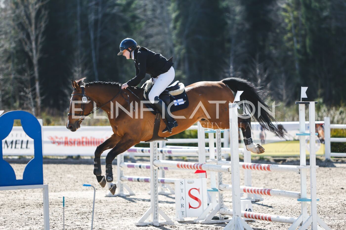 Kose_Kevad_2026_CCN90_TS-089