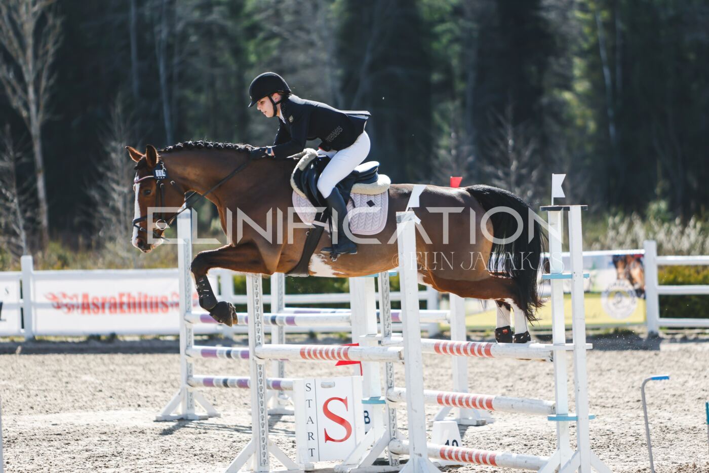 Kose_Kevad_2026_CCN90_TS-159