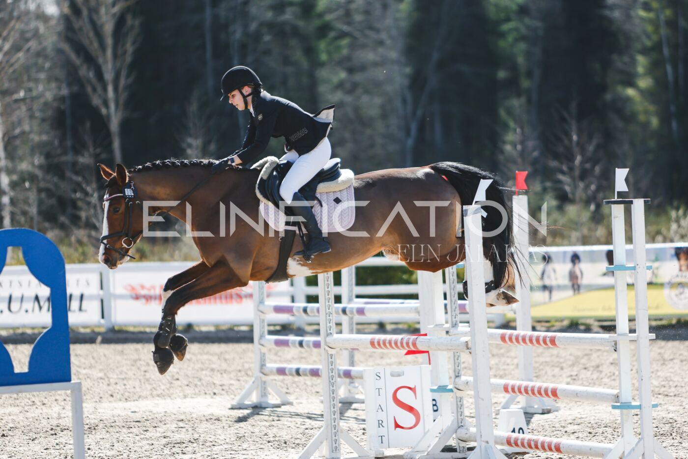 Kose_Kevad_2026_CCN90_TS-161
