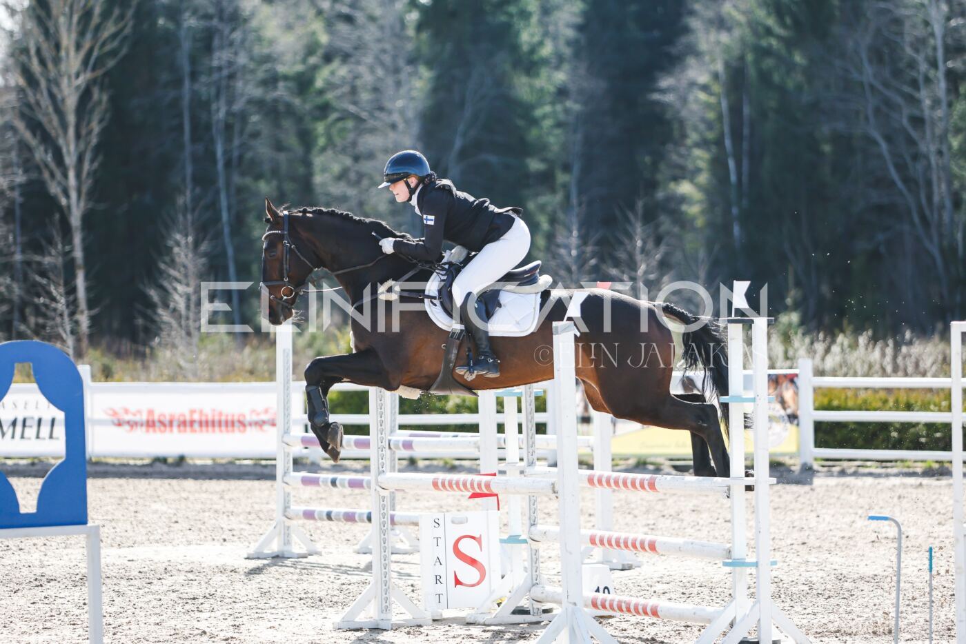 Kose_Kevad_2026_CCN90_TS-183