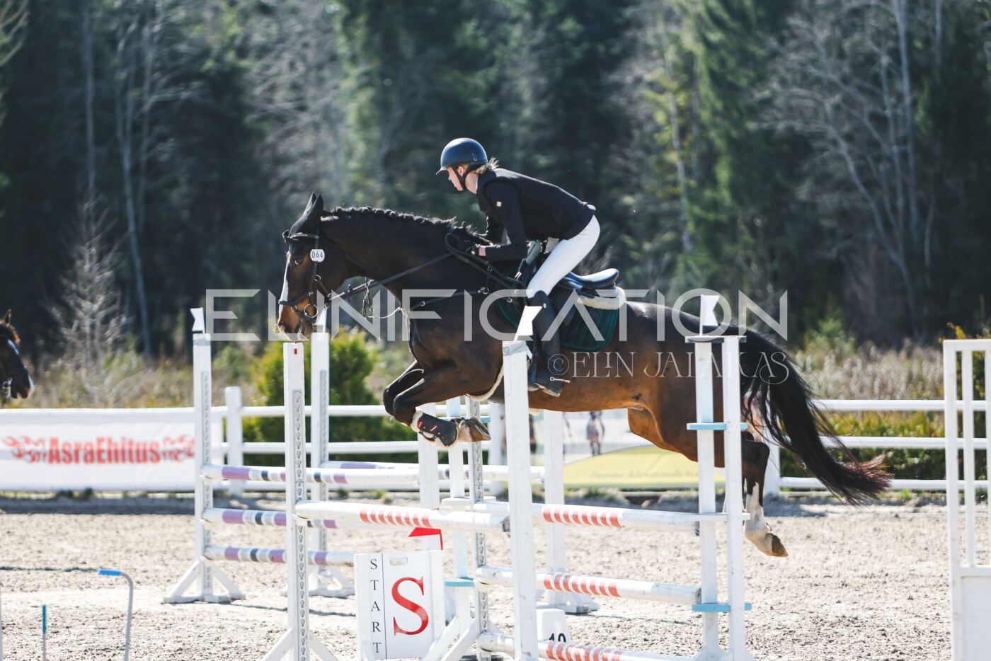 Kose_Kevad_2026_CCN90_TS-330