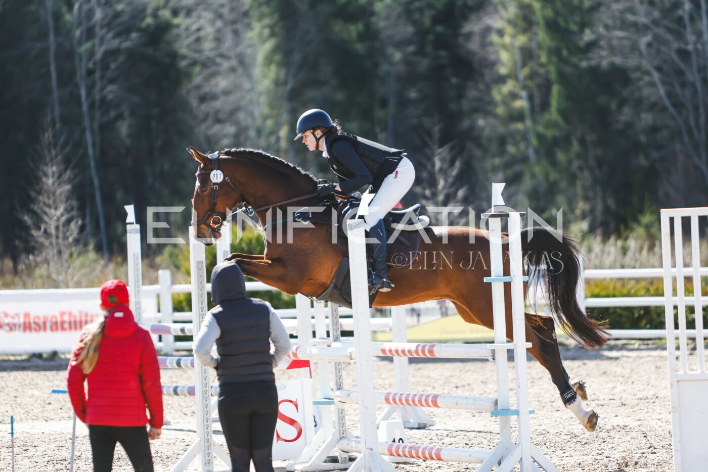 Kose_Kevad_2026_CCN90_TS-371