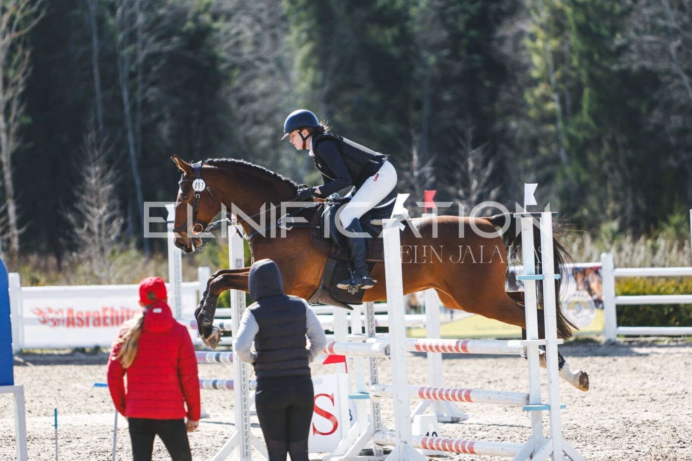 Kose_Kevad_2026_CCN90_TS-372