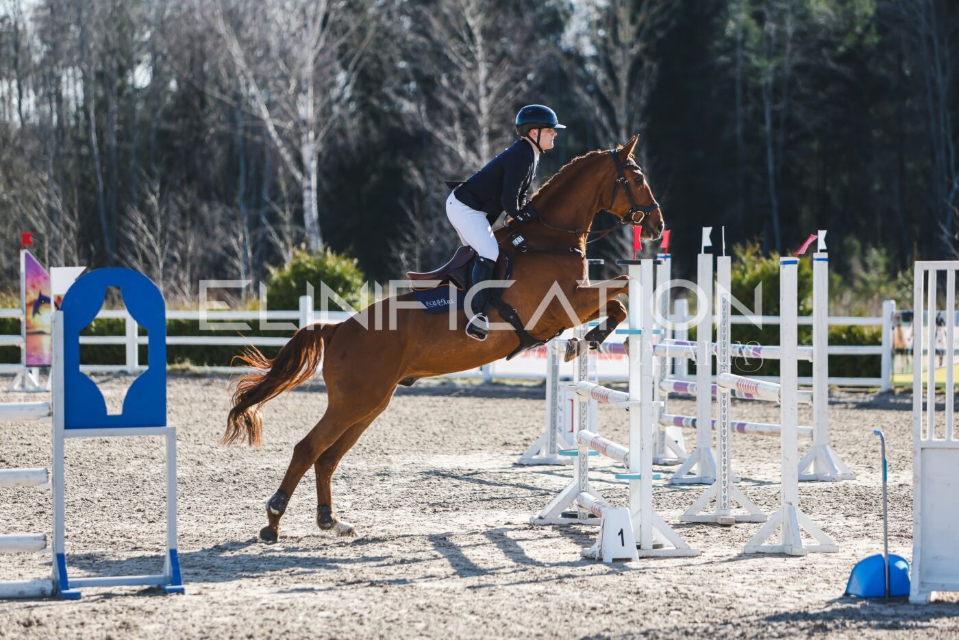 Kose_Kevad_2026_CCN1_TS-017