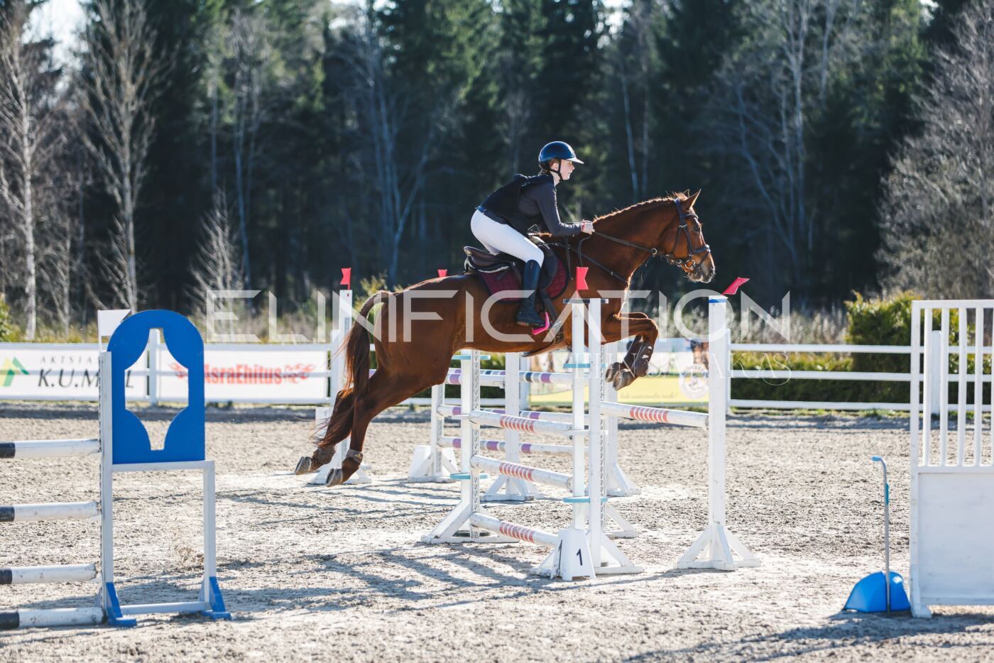 Kose_Kevad_2026_CCN1_TS-136