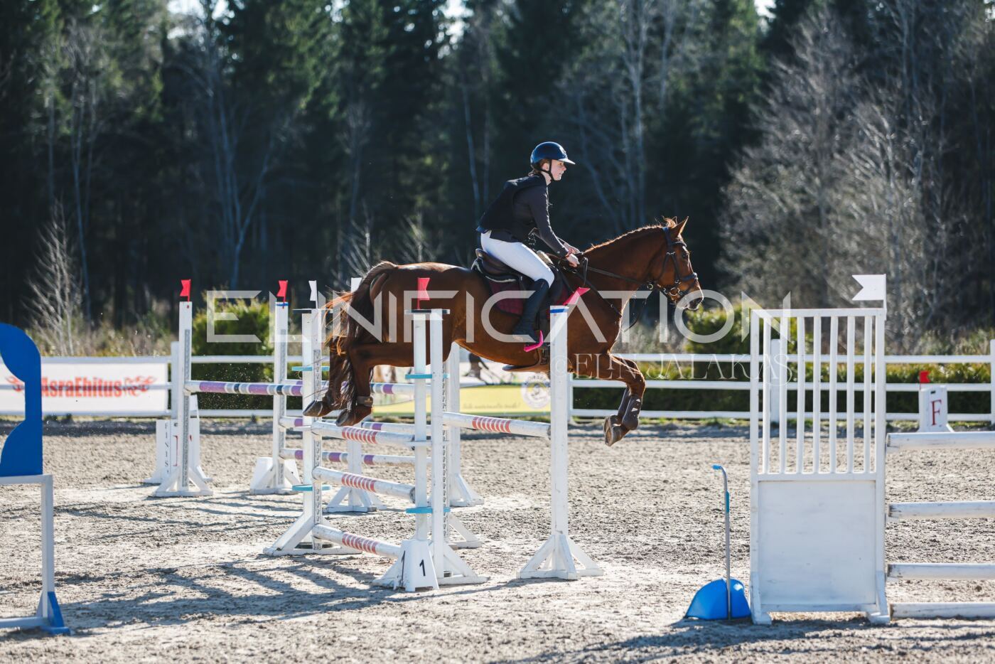 Kose_Kevad_2026_CCN1_TS-139