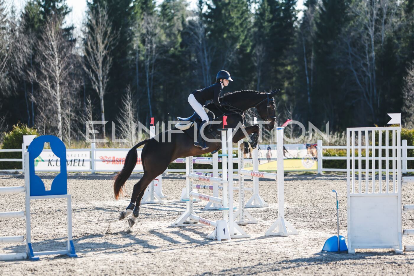 Kose_Kevad_2026_CCN1_TS-166