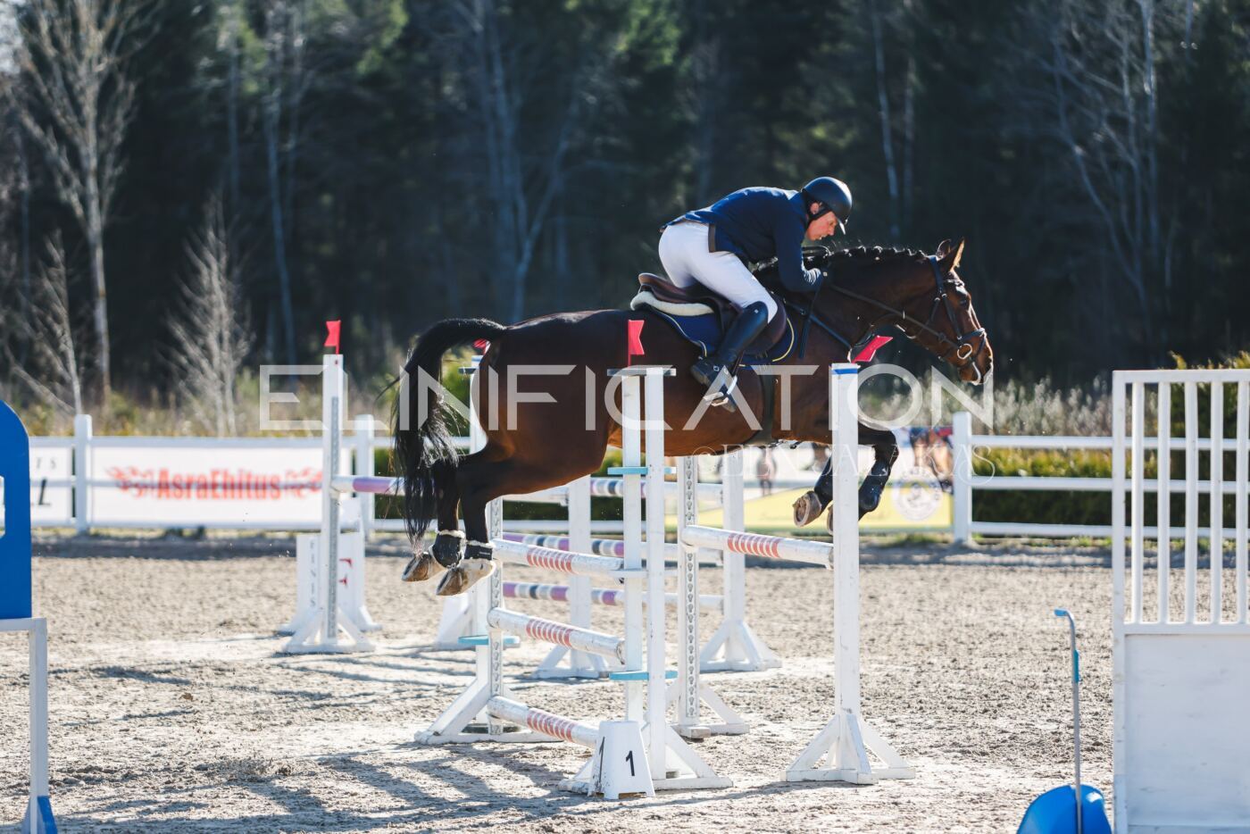 Kose_Kevad_2026_CCN1_TS-197