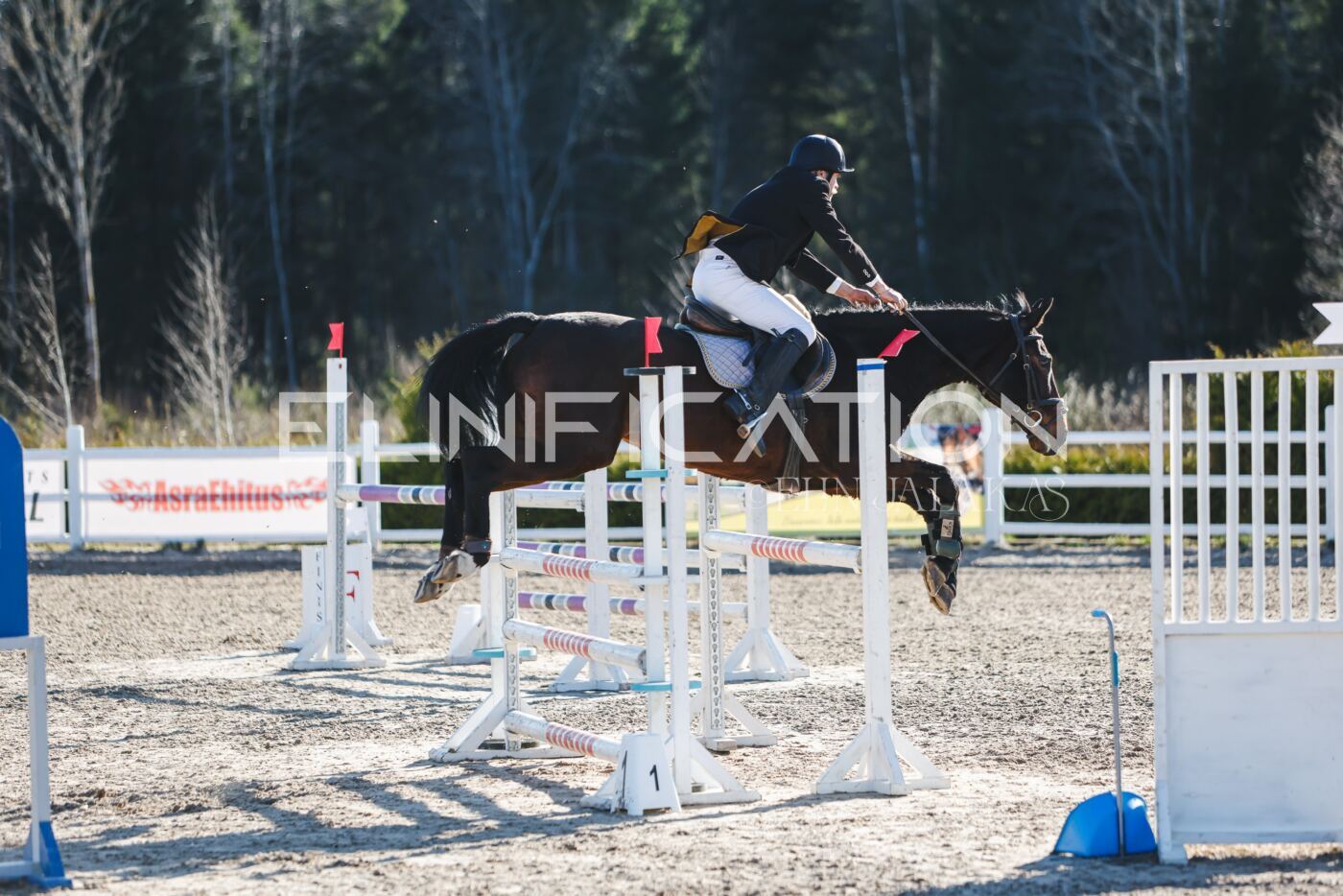 Kose_Kevad_2026_CCN1_TS-215