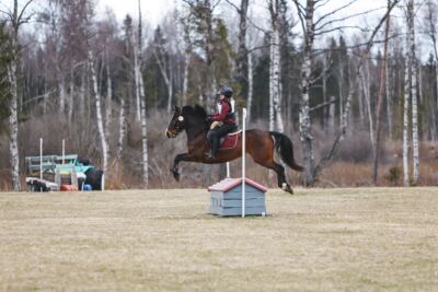 Kose_Kevad_2026_CCN70_XC-006