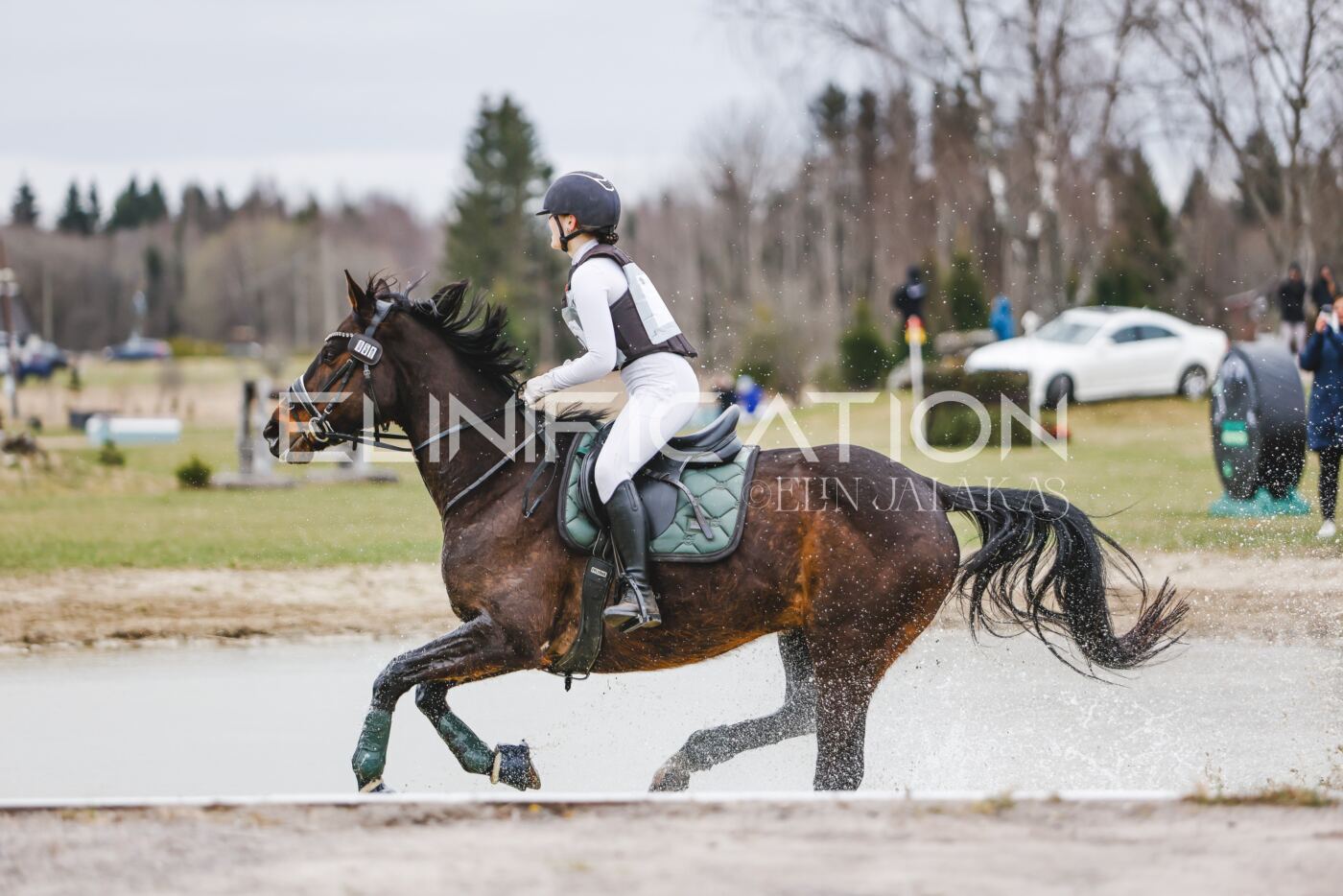Kose_Kevad_2026_CCN70_XC-069