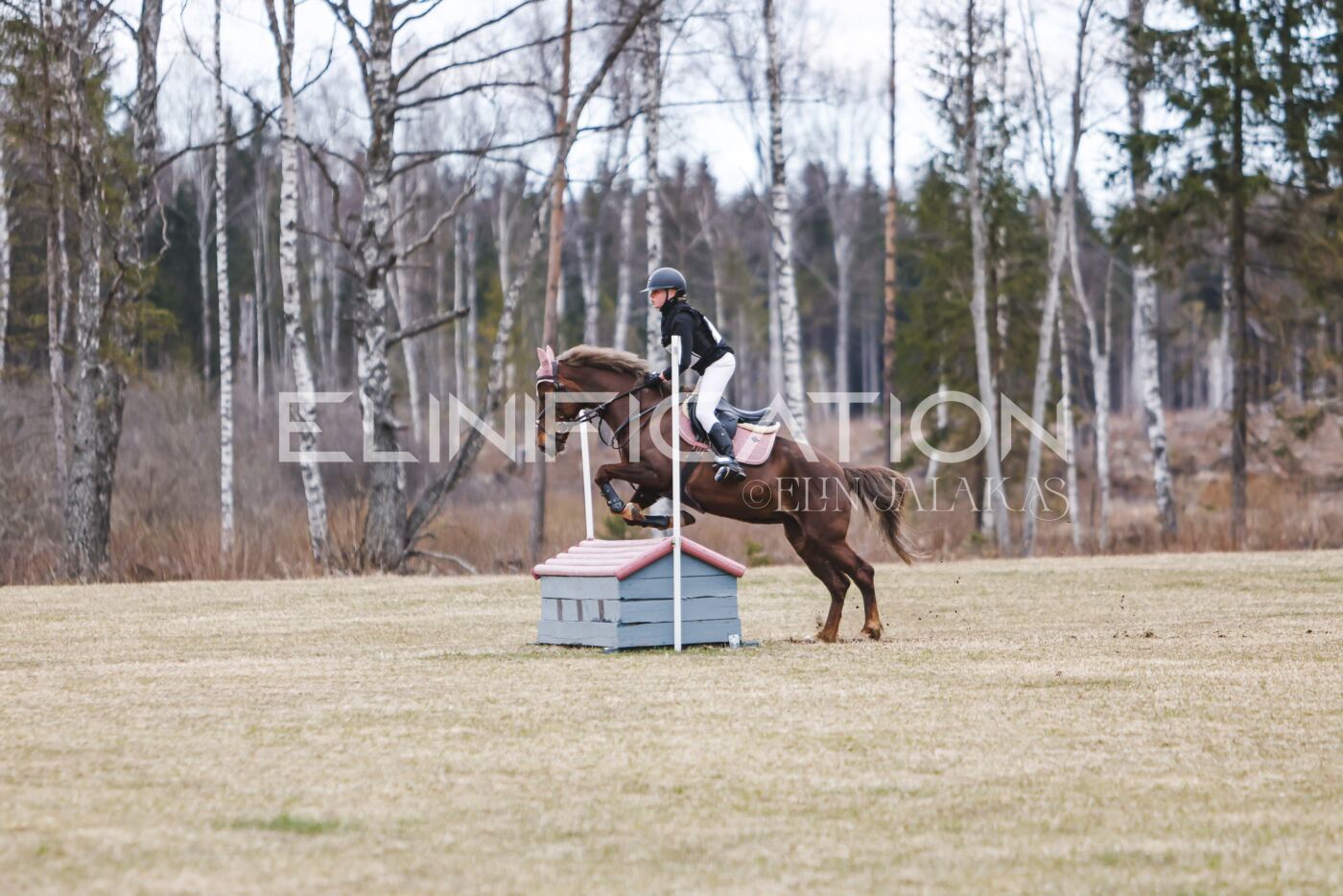 Kose_Kevad_2026_CCN70_XC-098
