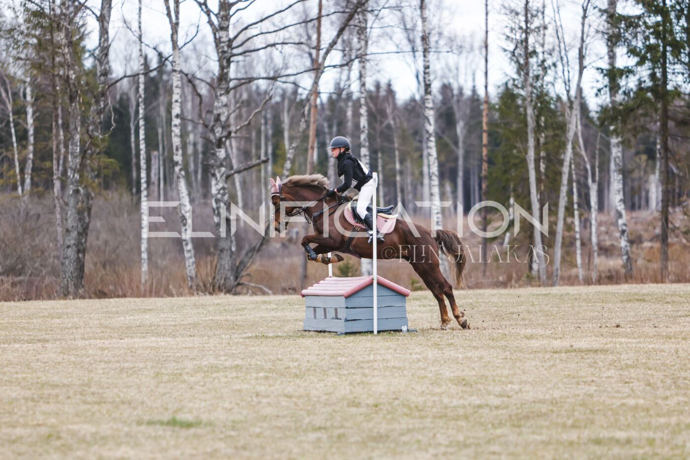 Kose_Kevad_2026_CCN70_XC-099