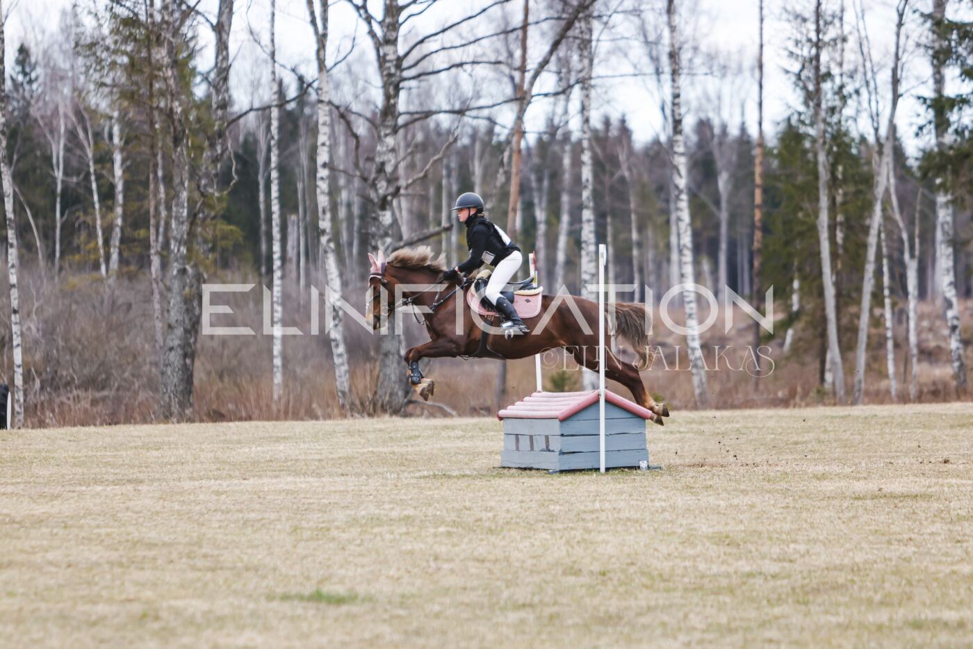 Kose_Kevad_2026_CCN70_XC-101