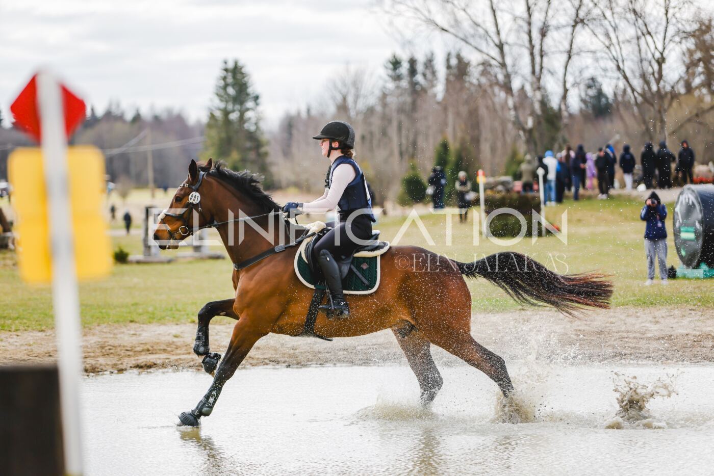 Kose_Kevad_2026_CCN70_XC-1063